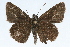  ( - CSU-CPG-LEP001736)  @13 [ ] CreativeCommons - Attribution (2009) Unspecified Unspecified