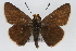  ( - CSU-CPG-LEP001772)  @14 [ ] CreativeCommons - Attribution (2009) Unspecified Unspecified