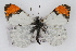  ( - CSU-CPG-LEP001813)  @13 [ ] CreativeCommons - Attribution (2009) Unspecified Unspecified