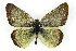  ( - CSU-CPG-LEP001841)  @14 [ ] CreativeCommons - Attribution (2009) Unspecified Unspecified