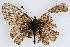  ( - CSU-CPG-LEP001844)  @12 [ ] CreativeCommons - Attribution (2009) Unspecified Unspecified