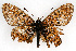 ( - CSU-CPG-LEP001845)  @12 [ ] CreativeCommons - Attribution (2009) Unspecified Unspecified
