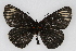  ( - CSU-CPG-LEP001873)  @13 [ ] CreativeCommons - Attribution (2009) Unspecified Unspecified