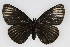  ( - CSU-CPG-LEP001878)  @13 [ ] CreativeCommons - Attribution (2009) Unspecified Unspecified