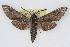  ( - CSU-CPG-LEP001969)  @13 [ ] CreativeCommons - Attribution (2009) Unspecified Colorado State University