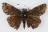  ( - CSU-CPG-LEP002048)  @13 [ ] CreativeCommons - Attribution (2009) Unspecified Colorado State University