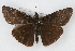  ( - CSU-CPG-LEP002049)  @13 [ ] CreativeCommons - Attribution (2009) Unspecified Colorado State University