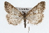  ( - CSU-CPG-LEP002507)  @12 [ ] CreativeCommons - Attribution (2009) Unspecified Colorado State University