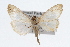  ( - CSU-CPG-LEP002509)  @13 [ ] CreativeCommons - Attribution (2009) Unspecified Colorado State University