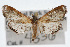  ( - CSU-CPG-LEP002513)  @12 [ ] CreativeCommons - Attribution (2009) Unspecified Colorado State University