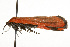  ( - CSUPOBK-0005)  @13 [ ] CreativeCommons - Attribution (2010) CBG Photography Group Centre for Biodiversity Genomics