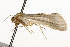  ( - CSUPOBK-0008)  @12 [ ] CreativeCommons - Attribution (2010) CBG Photography Group Centre for Biodiversity Genomics