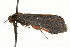  ( - CSUPOBK-0020)  @12 [ ] CreativeCommons - Attribution (2010) CBG Photography Group Centre for Biodiversity Genomics