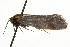  ( - CSUPOBK-0021)  @12 [ ] CreativeCommons - Attribution (2010) CBG Photography Group Centre for Biodiversity Genomics