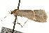  ( - CSUPOBK-0026)  @13 [ ] CreativeCommons - Attribution (2010) CBG Photography Group Centre for Biodiversity Genomics