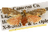  ( - CSUPOBK-0140)  @13 [ ] CreativeCommons - Attribution (2010) CBG Photography Group Centre for Biodiversity Genomics