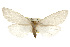  ( - CSUPOBK-0146)  @13 [ ] CreativeCommons - Attribution (2010) CBG Photography Group Centre for Biodiversity Genomics