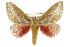  ( - CSUPOBK-0403)  @14 [ ] CreativeCommons - Attribution (2010) CBG Photography Group Centre for Biodiversity Genomics