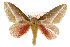 ( - CSUPOBK-0404)  @14 [ ] CreativeCommons - Attribution (2010) CBG Photography Group Centre for Biodiversity Genomics
