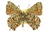  ( - CSUPOBK-0644)  @11 [ ] CreativeCommons - Attribution (2010) CBG Photography Group Centre for Biodiversity Genomics