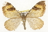  ( - CSUPOBK-1546)  @14 [ ] CreativeCommons - Attribution (2010) CBG Photography Group Centre for Biodiversity Genomics