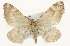  ( - CSUPOBK-1583)  @14 [ ] CreativeCommons - Attribution (2010) CBG Photography Group Centre for Biodiversity Genomics