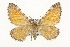  ( - CSUPOBK-1588)  @14 [ ] CreativeCommons - Attribution (2010) CBG Photography Group Centre for Biodiversity Genomics