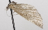  ( - CSUPOBK-1497)  @12 [ ] CreativeCommons - Attribution (2010) CBG Photography Group Centre for Biodiversity Genomics