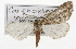  ( - CSUPOBK-1625)  @13 [ ] CreativeCommons - Attribution (2010) CBG Photography Group Centre for Biodiversity Genomics
