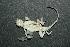  ( - ZMMU-R-11386-2)  @13 [ ] Unspecified (default): All Rights Reserved  Unspecified Unspecified