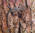  ( - NR-001 a.)  @13 [ ] Unspecified (default): All Rights Reserved  Unspecified Unspecified