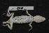  ( - NR-015 b.)  @13 [ ] Unspecified (default): All Rights Reserved  Unspecified Unspecified