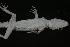  ( - RuHF-NR-2002a)  @14 [ ] Unspecified (default): All Rights Reserved  Unspecified Unspecified