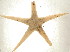  ( - 10BPBS-0013)  @13 [ ] CreativeCommons - Attribution  CBG Photography Group Centre for Biodiversity Genomics