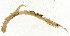  ( - 10BPBS-0235)  @12 [ ] CreativeCommons - Attribution  CBG Photography Group Centre for Biodiversity Genomics
