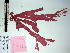  ( - GWS000505)  @13 [ ] CreativeCommons - Attribution Non-Commercial Share-Alike (2010) Unspecified University of New Brunswick