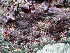  ( - GWS002657)  @11 [ ] CreativeCommons - Attribution Non-Commercial Share-Alike (2010) GWS002657 University of New Brunswick