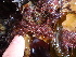  ( - GWS013000A)  @11 [ ] Unspecified (default): All Rights Reserved  Unspecified Unspecified