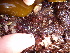  ( - GWS013033)  @11 [ ] CreativeCommons - Attribution Non-Commercial Share-Alike (2010) Unspecified University of New Brunswick