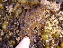  ( - GWS013102)  @11 [ ] CreativeCommons - Attribution Non-Commercial Share-Alike (2010) Unspecified University of New Brunswick