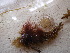  ( - GWS013252)  @11 [ ] CreativeCommons - Attribution Non-Commercial Share-Alike (2010) Unspecified University of New Brunswick