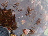  ( - GWS013439)  @11 [ ] CreativeCommons - Attribution Non-Commercial Share-Alike (2010) Unspecified University of New Brunswick