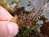  ( - GWS013440)  @11 [ ] CreativeCommons - Attribution Non-Commercial Share-Alike (2010) Unspecified University of New Brunswick