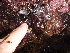  ( - GWS013573)  @13 [ ] CreativeCommons - Attribution Non-Commercial Share-Alike (2010) Unspecified University of New Brunswick