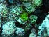  ( - GWS014076)  @11 [ ] Unspecified (default): All Rights Reserved  Unspecified Unspecified