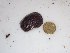  ( - GWS014452)  @11 [ ] Unspecified (default): All Rights Reserved  Unspecified Unspecified