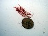  ( - GWS018008)  @11 [ ] Unspecified (default): All Rights Reserved  Unspecified Unspecified