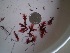  ( - GWS024008)  @11 [ ] Unspecified (default): All Rights Reserved  Unspecified Unspecified