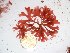  ( - GWS027330)  @11 [ ] Unspecified (default): All Rights Reserved  Unspecified Unspecified