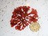  ( - GWS027391)  @11 [ ] Unspecified (default): All Rights Reserved  Unspecified Unspecified